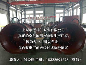 探索流體世界的隱秘力量 潛水貫流泵、全貫流閘門泵、燈泡泵與臥式全貫流泵技術(shù)解析